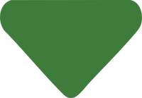 Bandana color 2