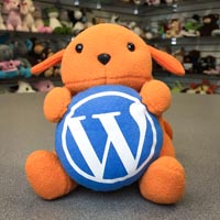 Custom Plush Toys