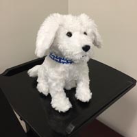 Custom Plush Toys
