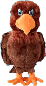 Image is not available