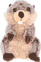 Plush Pig